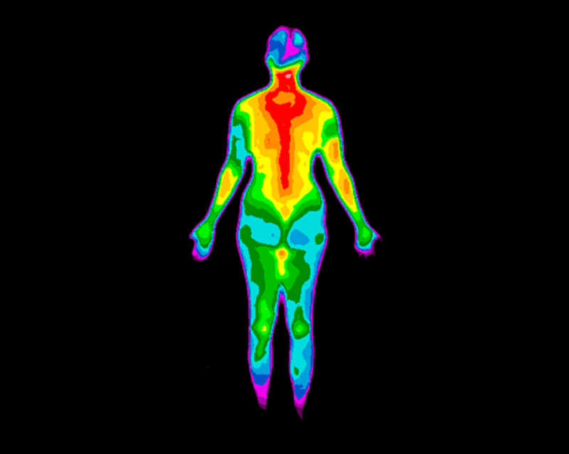 Multicolored thermographic photo of the back of the whole body of a woman with a range of colors 
